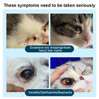 1-5pcs Pet Cat Dog Eye Ointment Pet Eye Ointment Corneal Inflammation Eye Ointme