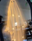 Viral Martha Stewart Ghost Mirror Brand New Halloween Spooky Season Pottery Barn
