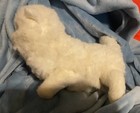 1986 Avanti Baby Animals Applause White Kitten Vintage Stuffed Cat-bendable Legs