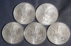 Five  5  Impaired 2023 Silver American Eagles 1 Oz Bullion Coins Lot Of 5