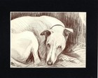 Vintage 1934 Whippet - Custom Matted - Dog Art Print - Scott Langley