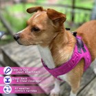 Comfort Fit Dog Harness Soft Padded No Pull S  chest 14 -15 5    Pink