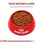 Royal Canin Feline Health Nutrition Mother   Babycat Dry Cat Food  6 Lb Bag