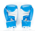 Cookies Boxing Gloves-limited Edition