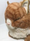 1985 Avanti Applause Cat Plush Stuffed Animal Orange Striped Tabby 14  W tag Vtg