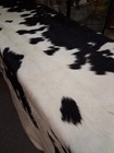 Genuine Cowhide Rug 80 x64 