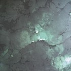  dark Ink 12x12 Craft Smith Scrapbooking Cardstock Paper Pad 48 Sheets