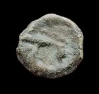 Senons  Pot In The Bald Head