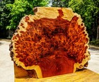 Amboyna Burl Lumber Live Edge Epoxy Diy Wood Resin Epoxy Table Top Natural Slab