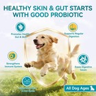 Probiotics For Dogs  200 Soft Chews With Digestive Enzymes And Prebiotics  Daily