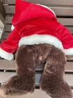 Teddy Bear With Christmas Clothes