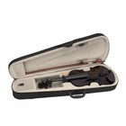4 4 Full Size Acoustic Violin Basswood  With Bow  Rosin And Hard Case  Black  Us