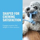 Kong Puppy Goodie Bone With Rope - Natural Rubber Chew Toy For Teething Puppies