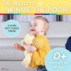 Disney Baby Winnie The Pooh And Friends Stuffed Animal With Jingle And Crinkl   
