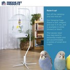 Prevue Pet Products Tubular Steel Hanging Bird Cage Stand 1781 White  24-inch   