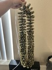 Graduation Money Lei Handmade With Shell Beads Contains  1 Bills X 50 Real Money