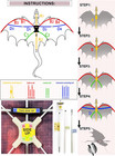 Dragon Huge Kite For Kids And Adults Easy To Fly Single Line String With Tail Fo