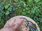 Vintage 1970s Byron Mold Mushrooms Htf Rare Boho Hippie Retro Kitchen Hanging 