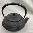 Nambu Ironware Teapot