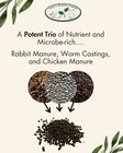 Fertile Ground Pellets  Soil Conditioner And Fertilizer Pellets  3-4-3 Npk