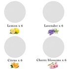 Maitys 24 Pcs Fragrance Discs Replacement Steam Mop Scent Fresh Fragrances
