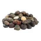 Msi Polished Mixed Pebbles  0 7-1 2 Inch  40 Lb  Bag  Decorative Landscape