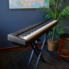Roland Fp-30x Digital Piano - Black Key Essentials Bundle
