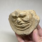 D02  Human-faced Eave Tile From The Capital Ruins Of Liao Dynasty                          Rare