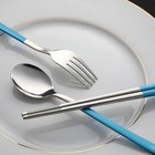 Travel Utensils With Case 18 8 Stainless Steel Camping Utensils Reusable Port   