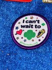 Lot Of 10 Brownies Girl Scout Patches Badges Nos