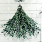 10pcs Natural Eucalyptus Stems For Shower Bathing Decor Dried Eucalyptus Bundle