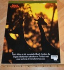 Vintage Busch Gardens Tampa Bay  Florida Official Souvenir Book Amusement Park