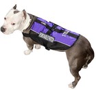 Personalized Service Dog Vest With Service Dog Patches And Embroidered Name