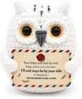 Handmade Crochet Snowy Owl  Emotional Support Animal Birthday Graduation Gift   