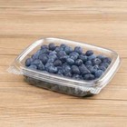 Karat 8oz Pet Plastic Hinged Deli Container - 200 Ct  Fp-hdc8