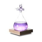  Storm Glass Weather Predictor  Predicting Forecaster Glass Barometer Water 
