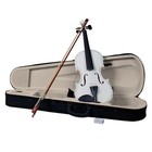 4 4 Full Size Beginner Acoustic Violin Set - Student White Case Bow Rosin