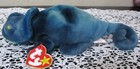 Ty Beanie Baby Rainbow With Iggy Fabric Error New