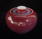 Chinese Old Vase Hand Carving Apple Porcelain Collectible Pot  kangxi  Mark