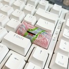 Handmade Japanese Resin Keycap  Artisan Shift Keycap