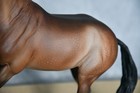 Breyer Custom Valegro Traditional By Devan Waskiewicz