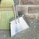 Stays-flat Small Dustpan