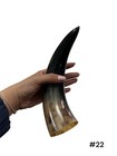 One Small Polished Cow Horn   Real Horn   One Of A Kind   Natural Color    22