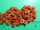  50  New 7 16  Jack-o-lantern Pumpkin Orange Plastic Shank Halloween Buttons-h1