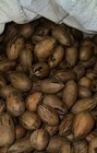 10 Lbs  Fresh Delicious Georgia Pecans In Shell - No Pesticides - Ships Now Fast