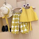 Summer Toddler Baby Girls Clothes Sets Kids Top Shirt Pants Shorts Clothes Set