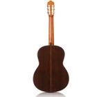 Cordoba C7 Cd Nylon-string Classical Guitar  Indian Rosewood Fretboard  Cedar