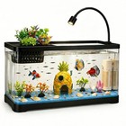 Fish Tank Aquarium Starter Kit With Filter And Light large  5 Gallon Black