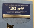 Chewy  20 Off Your Next Purchase Of  49  For Your Pet  Cat dog  expires 6 30 25 