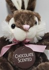 Dan Dee Collector s Choice Easter Bunny Rabbit Plush Toy Brown 9 Inches